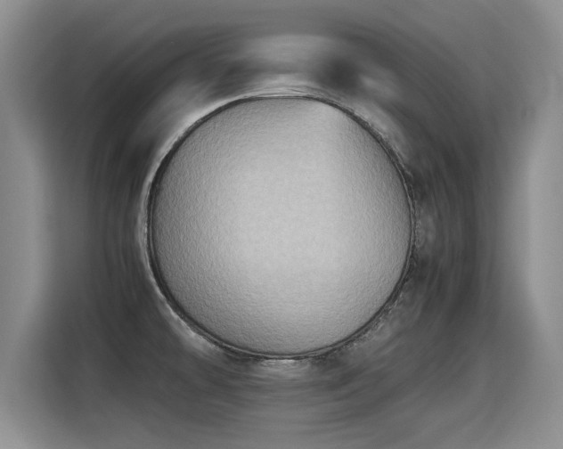 X0000115311478200911091127