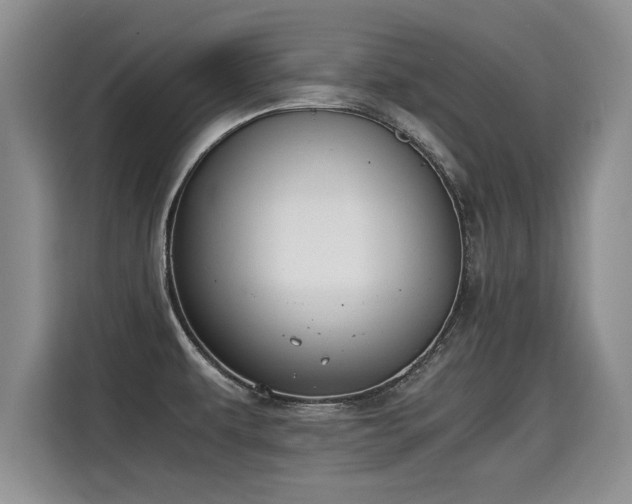 X0000115311479200911091127
