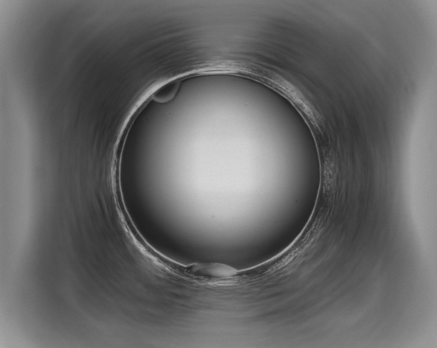 X0000115311484200911091127