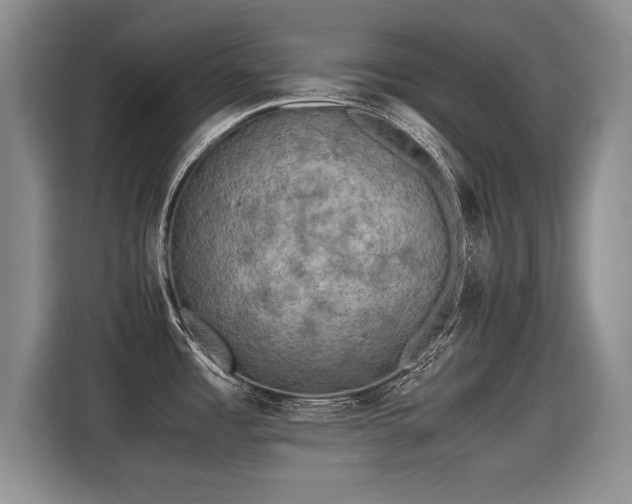 X0000115311485200911091127