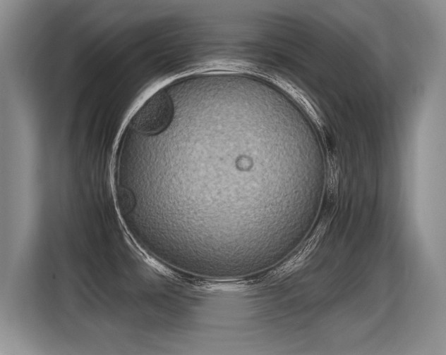 X0000115311486200911091127