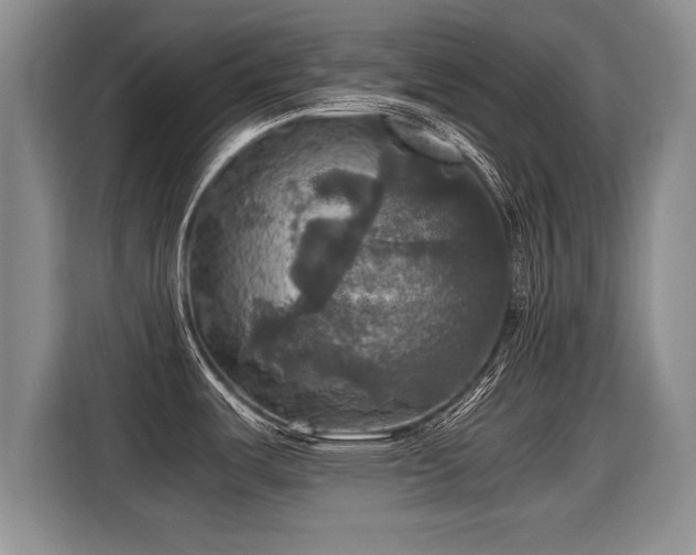 X0000115311487200911091127