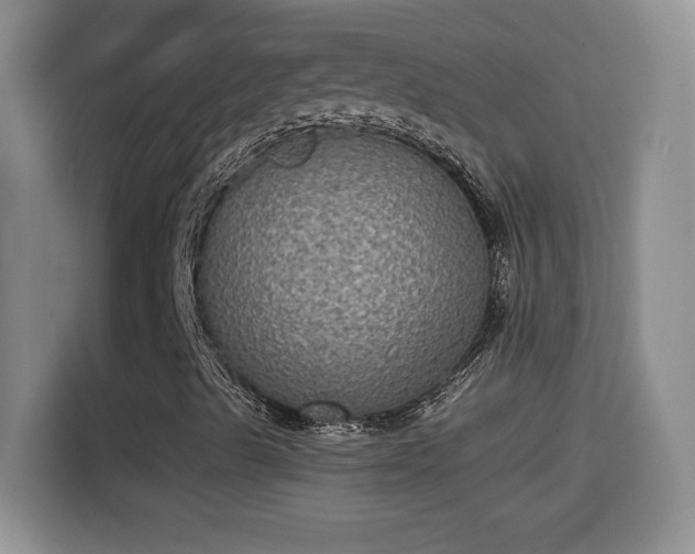 X0000115311489200911091126
