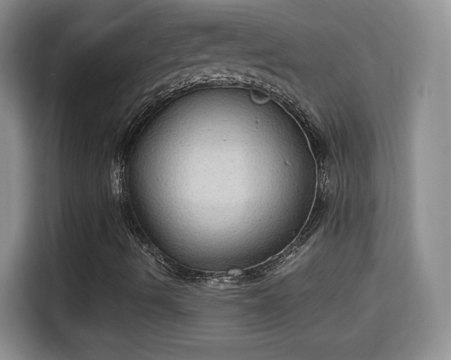 X0000115311490200911091126