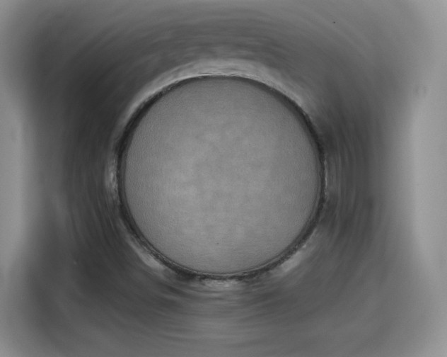 X0000115311498200911091126