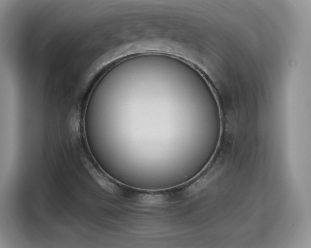 X0000115311499200911091126