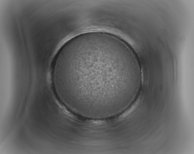 X0000115311501200911091126