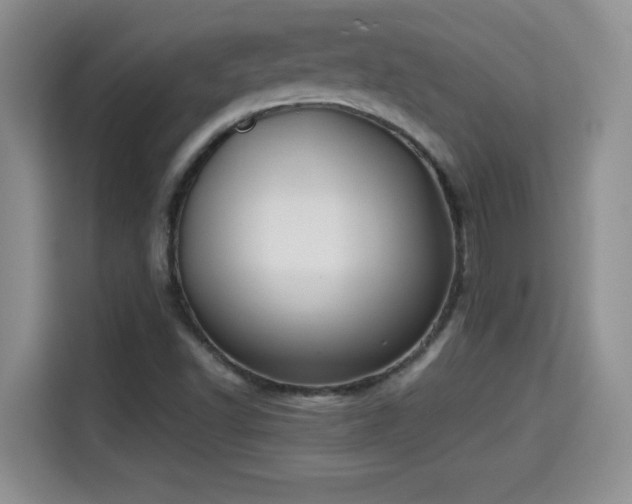X0000115311502200911091126