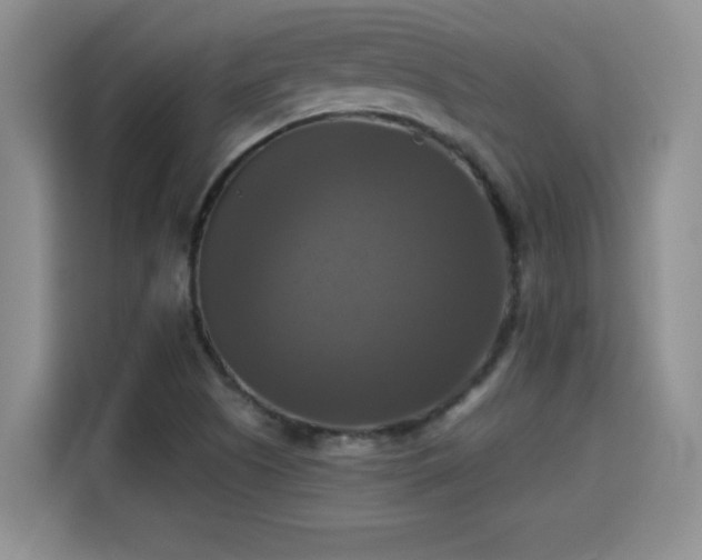 X0000115311505200911091126
