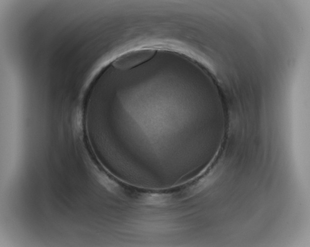 X0000115311506200911091126
