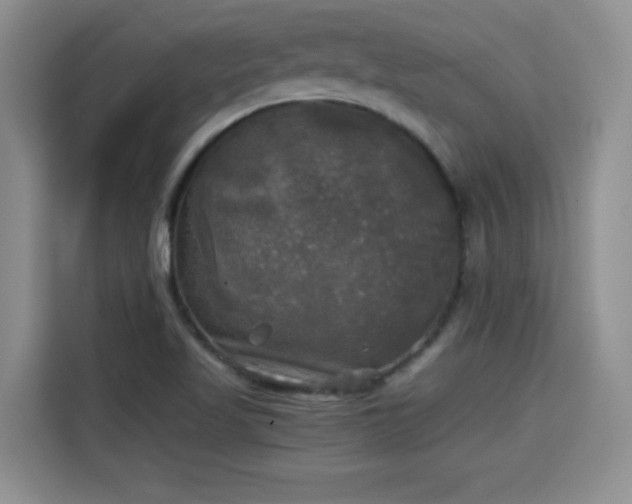 X0000115311509200911091126