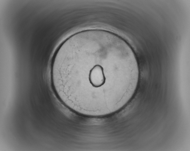 X0000115311514200911091126