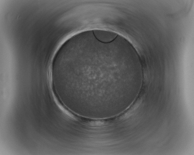 X0000115311515200911091126