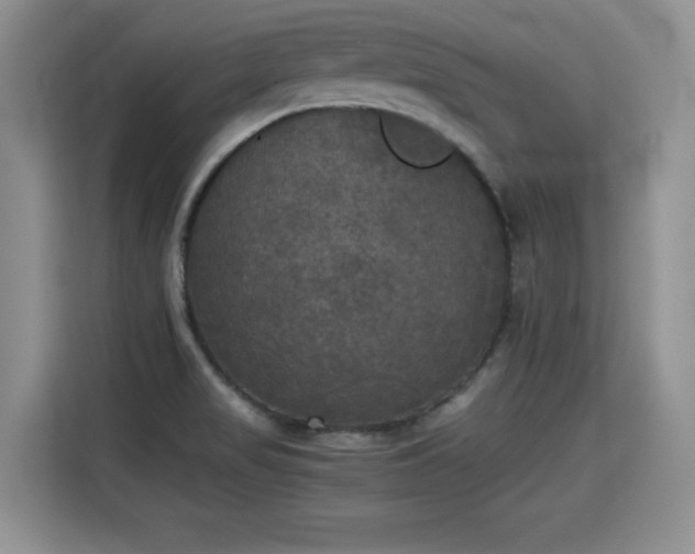 X0000115311517200911091126