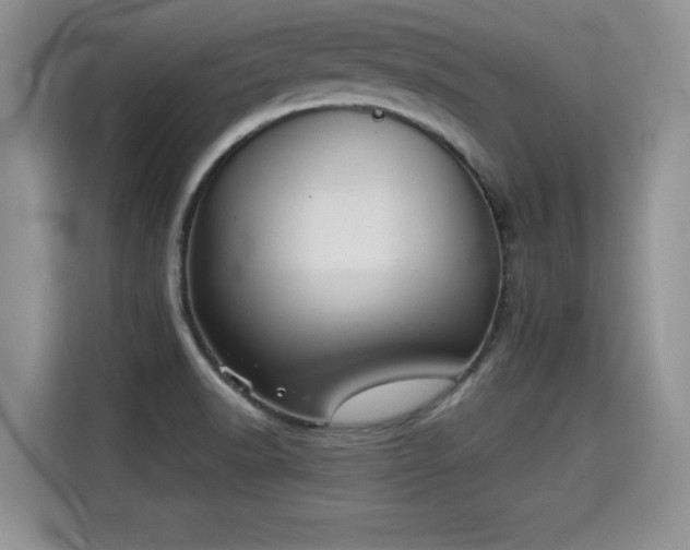 X0000115311518200911091126