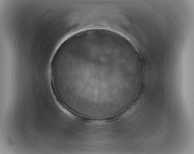 X0000115311519200911091126