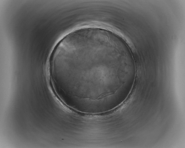 X0000115311522200911091126