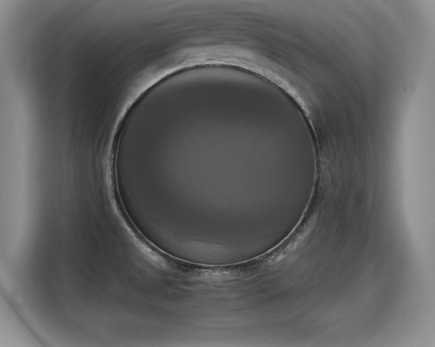 X0000115311525200911091126