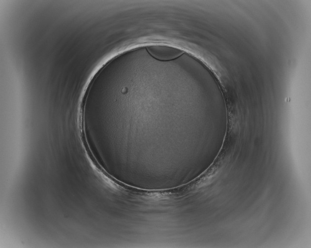 X0000115311527200911091126