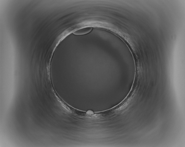 X0000115311529200911091126