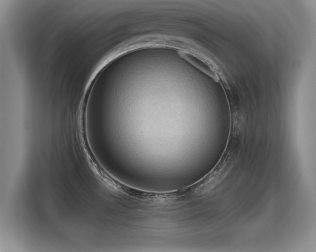 X0000115311530200911091126