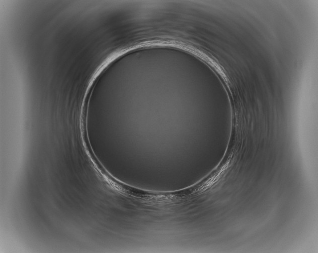 X0000115311533200911091127