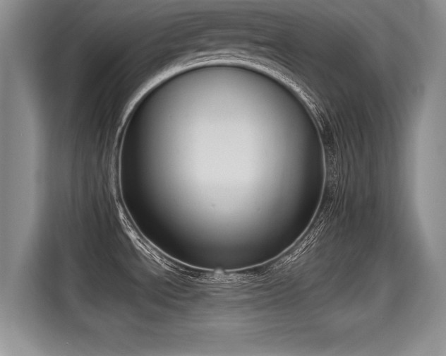 X0000115311534200911091127