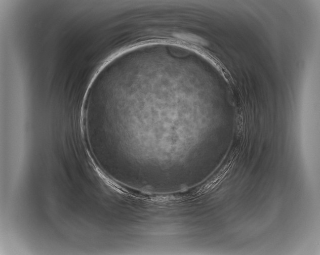 X0000115311535200911091127