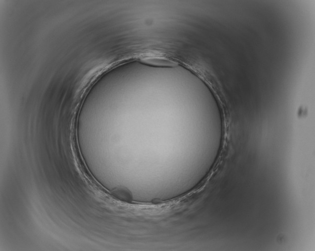 X0000115310001200911161732