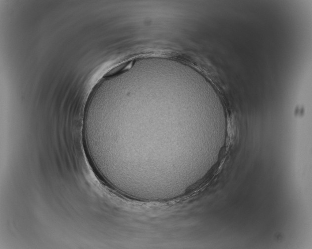 X0000115310003200911161732