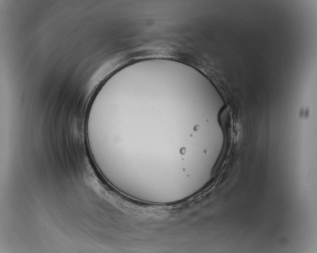 X0000115310004200911161732