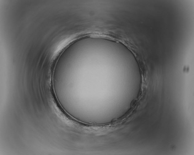 X0000115310005200911161732