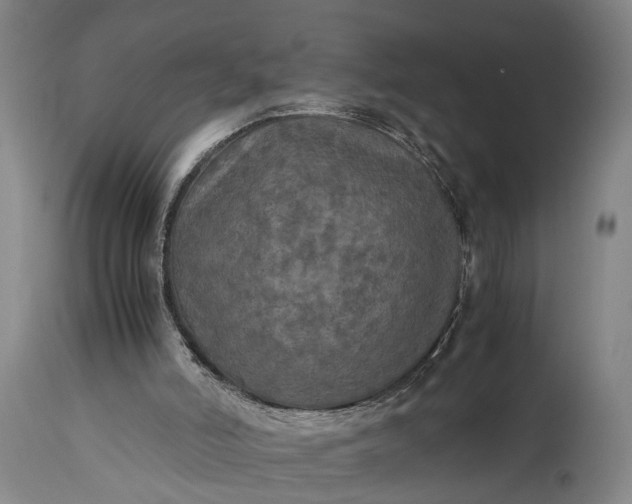 X0000115310006200911161732