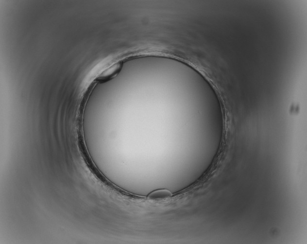 X0000115310007200911161732