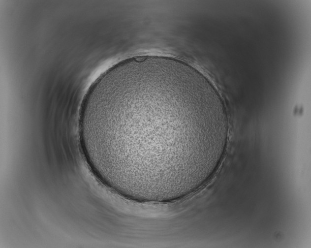 X0000115310008200911161732