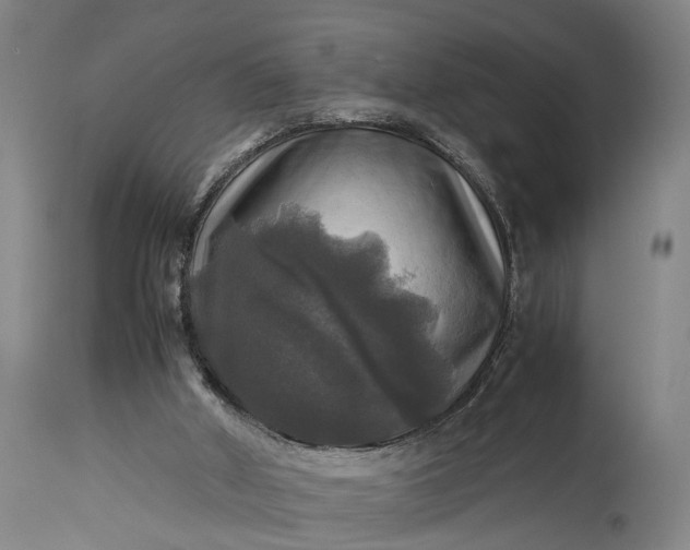 X0000115310010200911161732