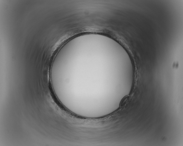 X0000115310011200911161732