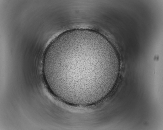 X0000115310012200911161732