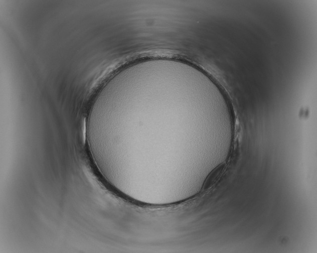 X0000115310013200911161732