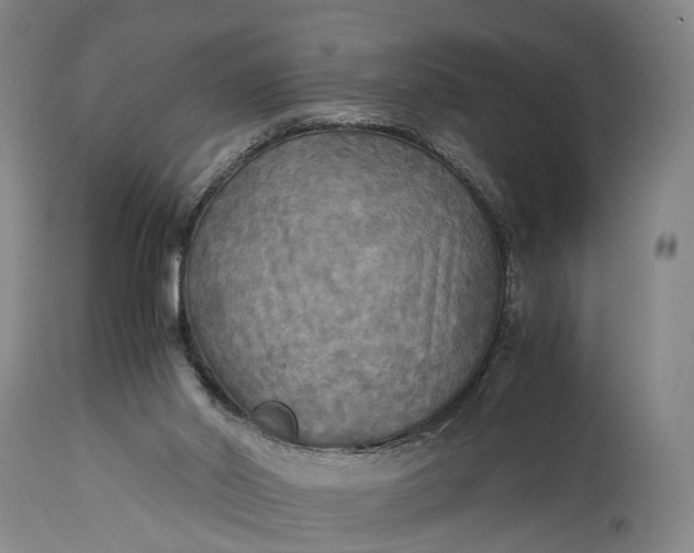 X0000115310014200911161732