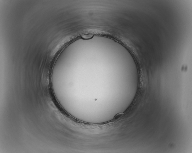 X0000115310015200911161732