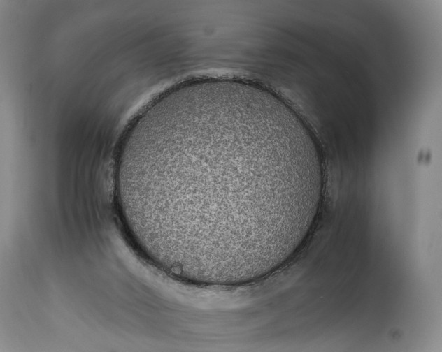 X0000115310016200911161732