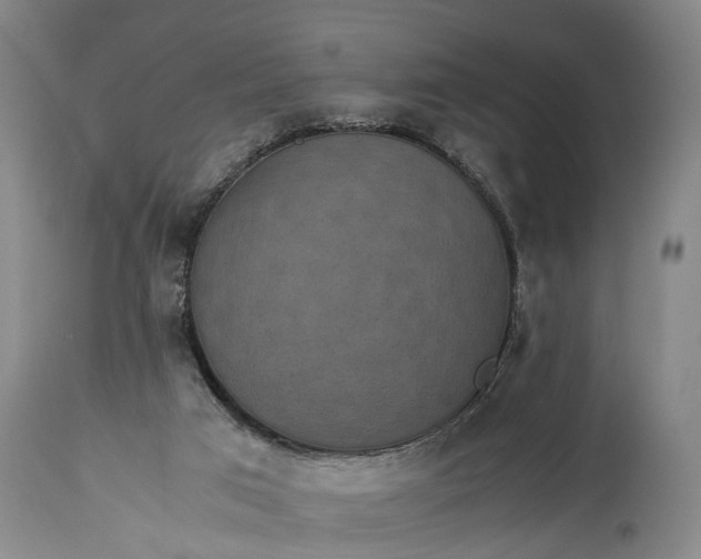 X0000115310017200911161732