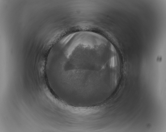 X0000115310018200911161732