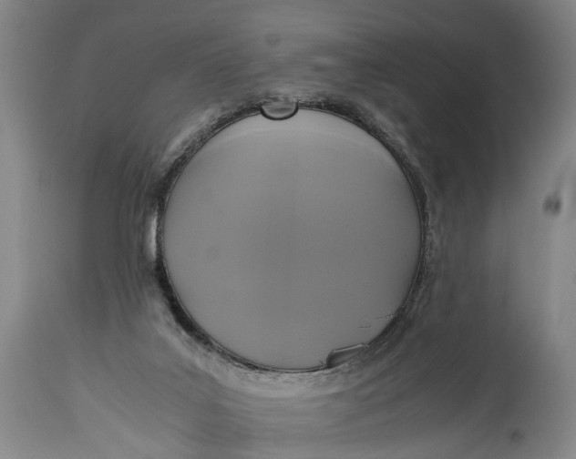 X0000115310019200911161732