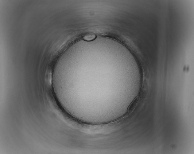 X0000115310021200911161732