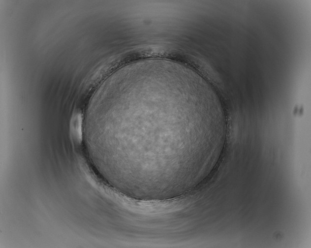 X0000115310022200911161732