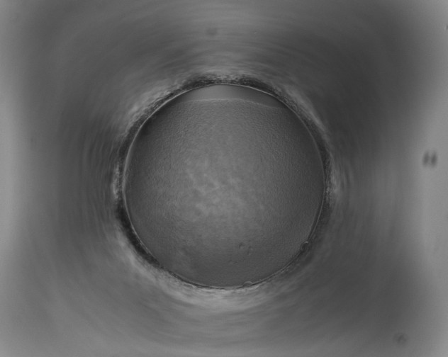 X0000115310023200911161732