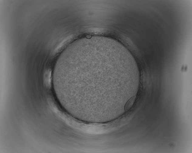 X0000115310024200911161732