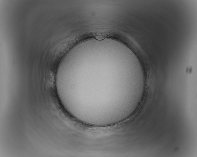 X0000115310025200911161732